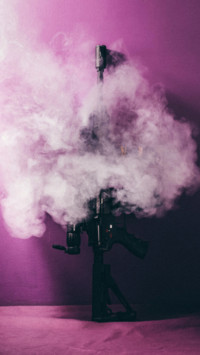 Guns (11)