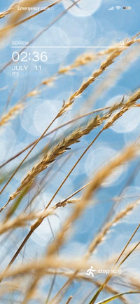 Ear of wheat