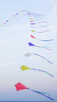 International-kite