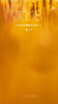 VOTO 标准版