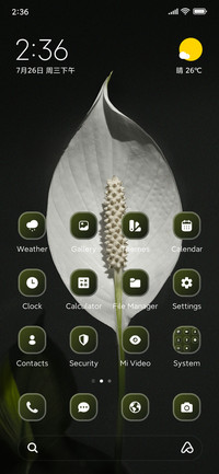Plant