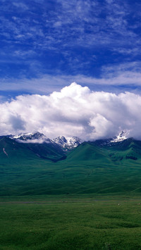 Mongolian grasslands