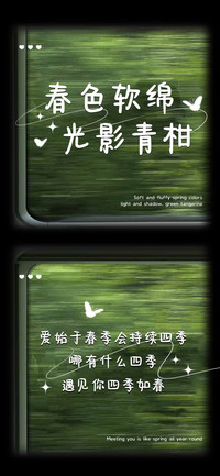 春色软绵光影青柑