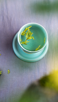 The Benefits of Drinking Green Tea Regularly 8