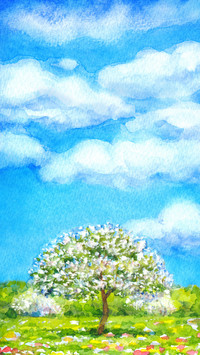 Landscape oil painting