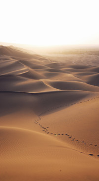 Earth Day (19)