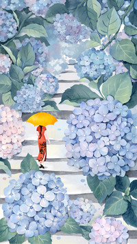 How to cultivate robust hydrangea flowers