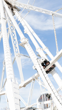 Ferris wheel in amusement park