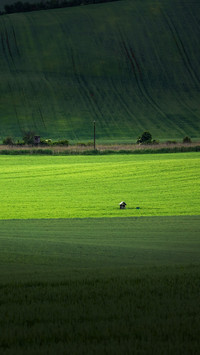 Moravian Green Fields