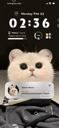 Kitten Head