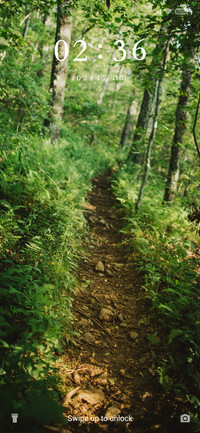 Green Trails_3MDS