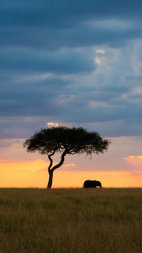 Accompanied by the glow of the sunset