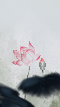 荷花全身都是宝