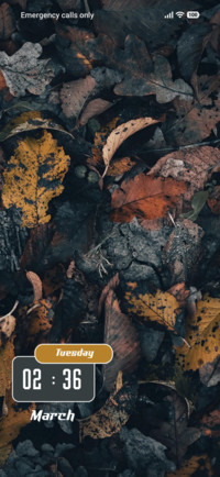 Dry Leaf