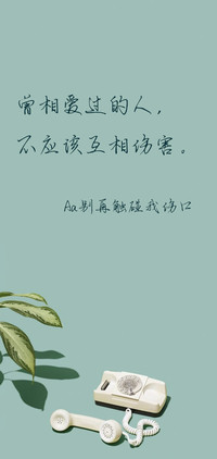 Aa别再触碰我伤口