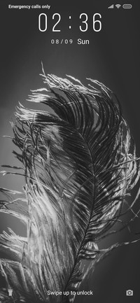Feather - Monochrome_3MDS