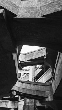 IMG_7398