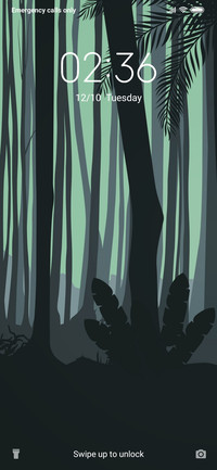 Forest_3MD