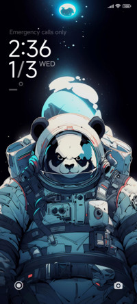 Panda astronaut