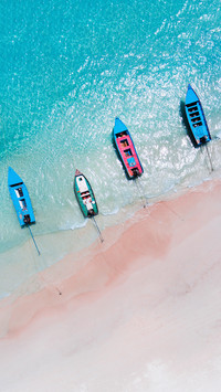International-Paradise rose beach