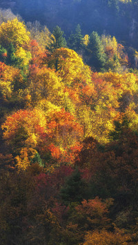 Autumn Scenery On Earth
