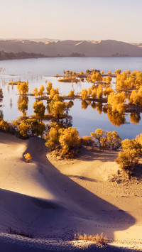 So poor that only three beautiful places remain 7