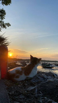 relax on the beach
