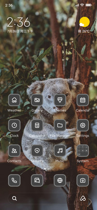 Cute Animal