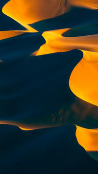 Desert Light and Shadow