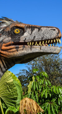 Dinosaur