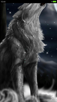狼