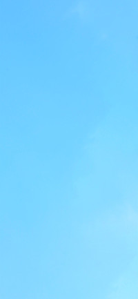 护眼 夏意