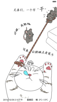 你妹，大肥猫