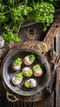 轻奢美食 蜗牛