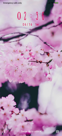 Cherry Blossom_3MDP