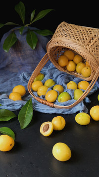What are the effects of apricots