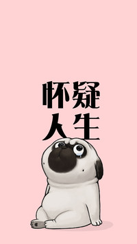 吾皇巴扎黑 (41)