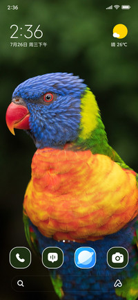 Colourful parrot