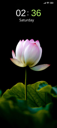 Petal Charm