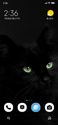 Emerald Gaze