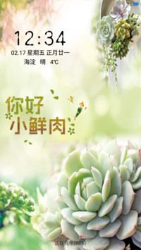 你好、小鲜肉