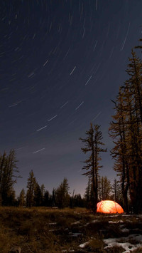 Night sky and starry sky