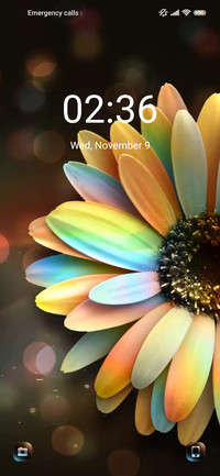 Rainbow Sunflower