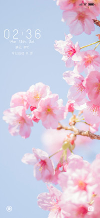Sakura