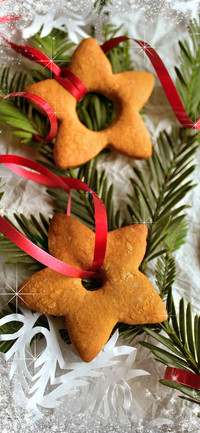 delicioud snacks-PAIXIN