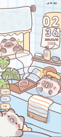 宅家团团猫