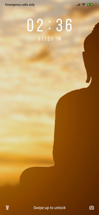 Buddha - 2_3MDS