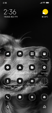 Dog