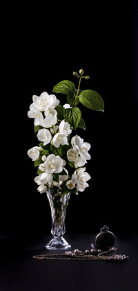 Do you know how to keep fresh flowers 9