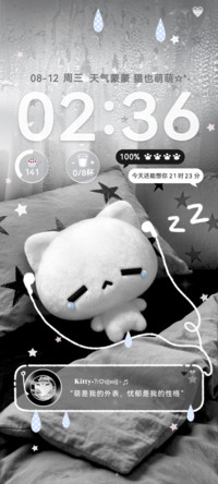 ins雨雾淡淡小猫